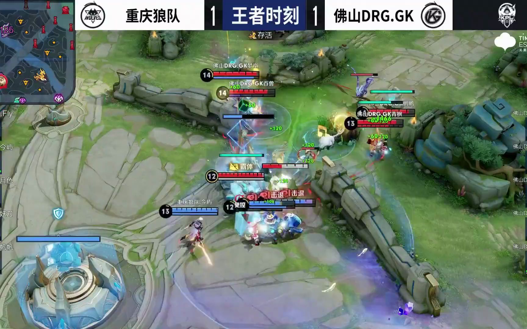 分析和实地 分析和实地