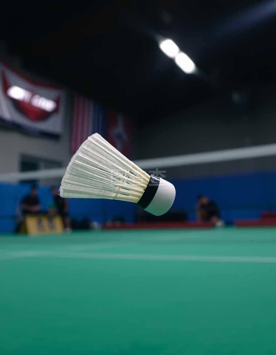 博納文圖拉 博納文圖拉