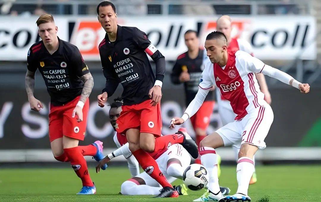 道与三角草 道与三角草