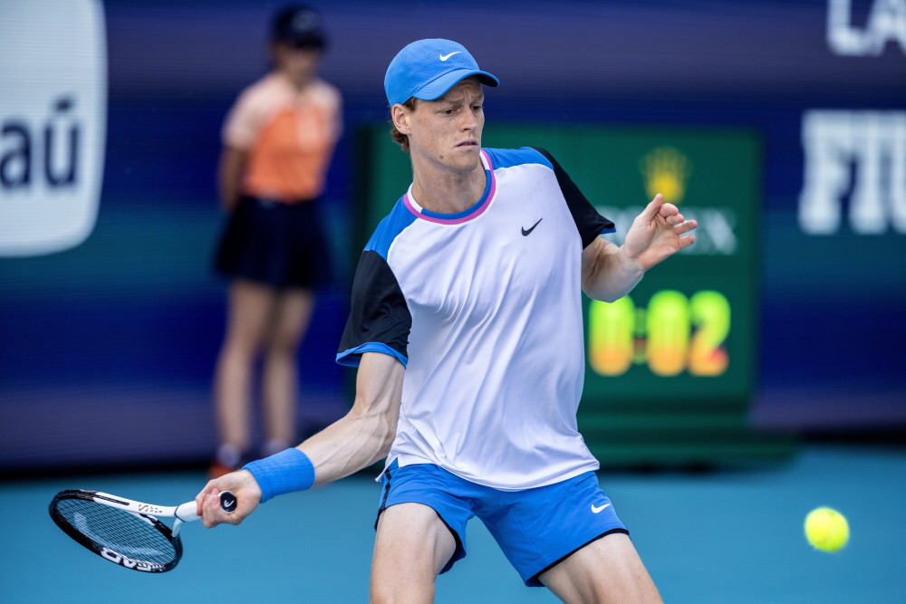 年的新洋基 年的新洋基